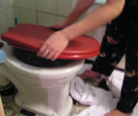 vive les toilettes
